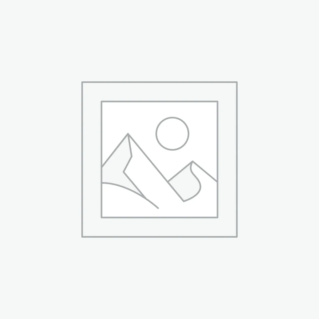 010602 Однокомпонентная шпаклевка APP 1K S (100 гр)